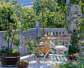 Balcony with Malus, sitting arrangement, basket of apples