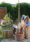LOHAS - Serie: Feuerbohnen in Kübel pflanzen : 3/8 Frau füllt Erde in Kübel mit Rankhilfe