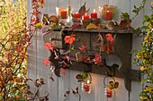 Holzregal mit Windlichtern und Kerzen, dekoriert mit Ranken