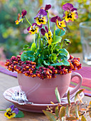 Viola cornuta in pink cup, small wreath from Euonymus