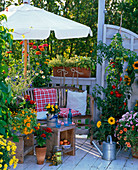 Cottage garden balcony