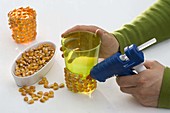 Glass vases covered with corn kernels