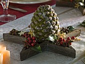 Pinus (pine cone) on a wooden star