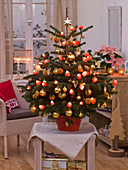 Weihnachtsbaum mit Lampion - Lichterkette 2/2
