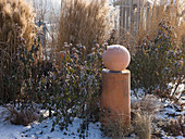 Winter garden with pink (roses), miscanthus (Chinese reed)
