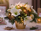 Christmas Bouquet with Hippeastrum (Amaryllis)