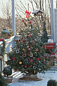 Weihnachtsbaum mit Vogelfutter
