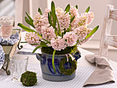 Bouquet of hyacinthus (hyacinths) in pot with salt glaze