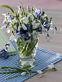 Small bouquet of Galanthus nivalis (snowdrop)