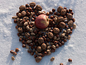Heart of mixed nuts placed on snow, Malus (apple) on top