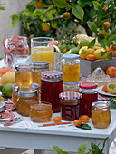 Citrus fruit jams