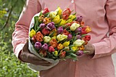 Woman brings bouquet of filled Tulipa (tulips)