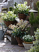 Homemade basket with wooden floor