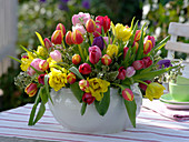 Schale mit Gesteck aus bunt gemischten Tulipa (Tulpen) und Pittosporum