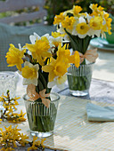 Standing bouquet of Narcissus (daffodils) with bow in glass vase