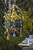 Easter basket of birch-brushed rice planted with Narcissus 'Tete a Tete'