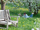 Bench with cover under flowering Malus (apple tree) in orchard meadow