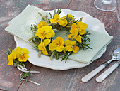 Small wreath of viola cornuta, Salvia