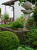 Stone column with ball in front of stone trough, Buxus (boxwood ball)