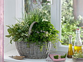 Herb basket by the window