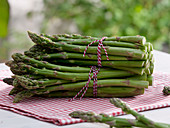 Asparagus officinalis (green asparagus) bundled with strings