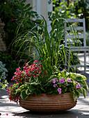 Terracotta bowl for the shady terrace Spartina