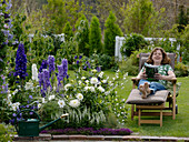 Delphinium 'Excalibur', 'Galahad', 'Jubilation' (Delphinium)