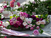 Historical and English scented roses on wooden tray