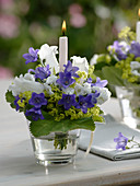 Small bouquet from Campanula, Alchemilla