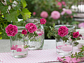 Einmachgläser mit Rosa (Rosenblüten), Hedera (Efeuranken)