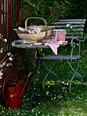 Tisch und Stuhl im Garten neben Weigelia 'Bristol Ruby' (Weigelie)