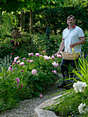 Mann mit Weidenkorb möchte Paeonia (Pfingstrosen) schneiden