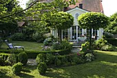 Catalpa bignoides 'Nana' (ball-trumpet tree), round path