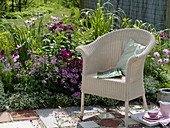 Summer bed with Cosmos (Jewel Basket), Cleome 'Senorita Rosalita'.