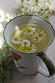 Matricaria chamomilla, flowers in chamomile tea cup