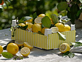 Zitronen - Tischdeko auf der Terrasse