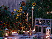 Evening terrace by the summer flower bed