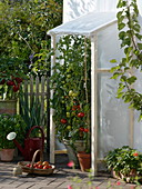 Selbstgebauter Regenschutz für Tomaten auf der Terrasse 2/2