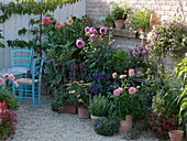 Terrasse mit Blumen, Kräutern, Obst und Gemüse