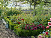 Farmhouse garden in late summer