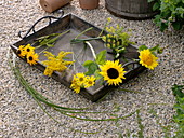 Yellow late summer flowers on tray