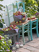 Baskets with freshly picked apples