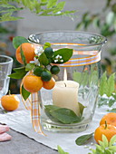 Lantern with fruits, flowers and leaves of calamondin orange