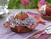 Small table decoration with apple and hydrangea flowers
