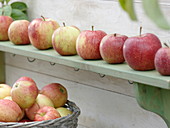 Äpfel aufgereiht auf Holzregal
