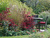 Red bed in late summer