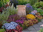 Colourful autumn bed with amphora and asters