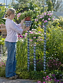 Painted pots on painted sticks in a flowerbed (9/10)