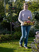 Young woman carrying harvested apples in a wire basket