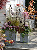 Homemade wooden tubs planted autumnally